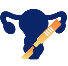 Gynaecological Surgery