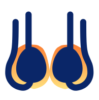 Hydrocele Surgery